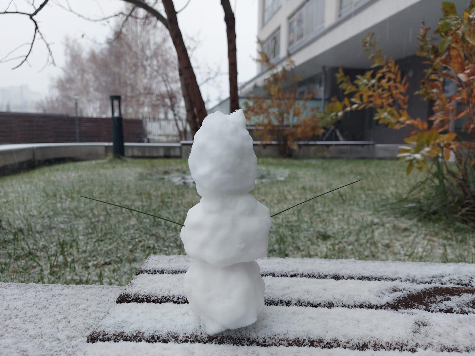 Фото Новосибирцы слепили первых снеговиков после снегопада 30 октября 2
